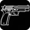 Handgun Simulator Parabellum